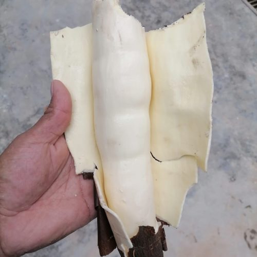 Yuca - Tapioca | Almiper